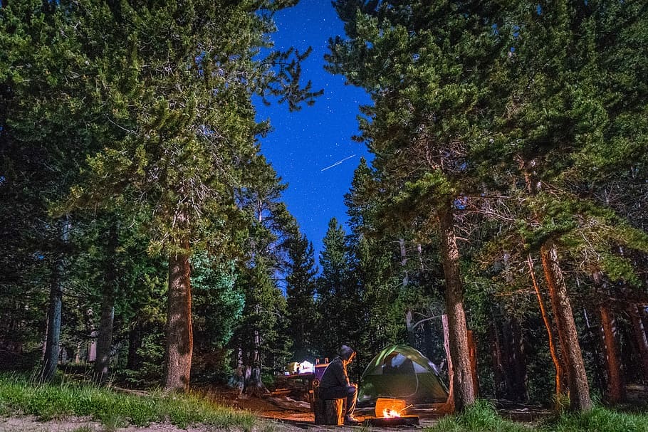 comment l'ego se manifeste en forêt ? En faisant un feu pour assurer sa survie par exemple.