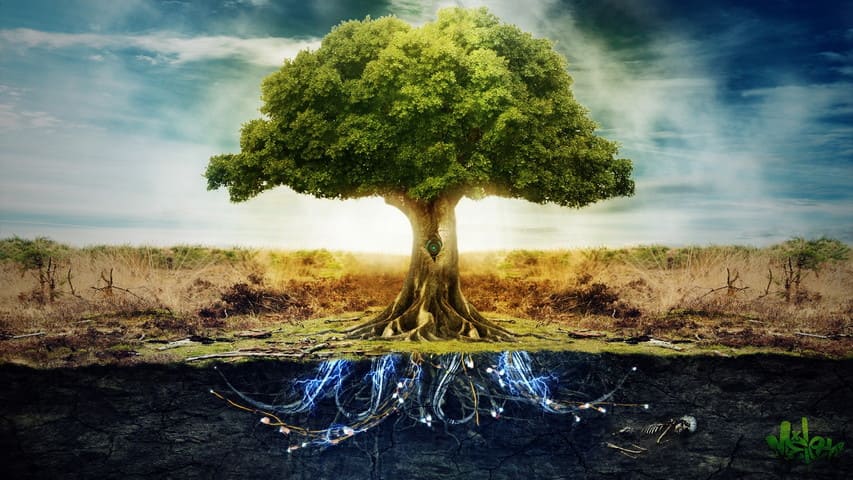 Un arbre et ses racines profitant du flux de vie de la terre.