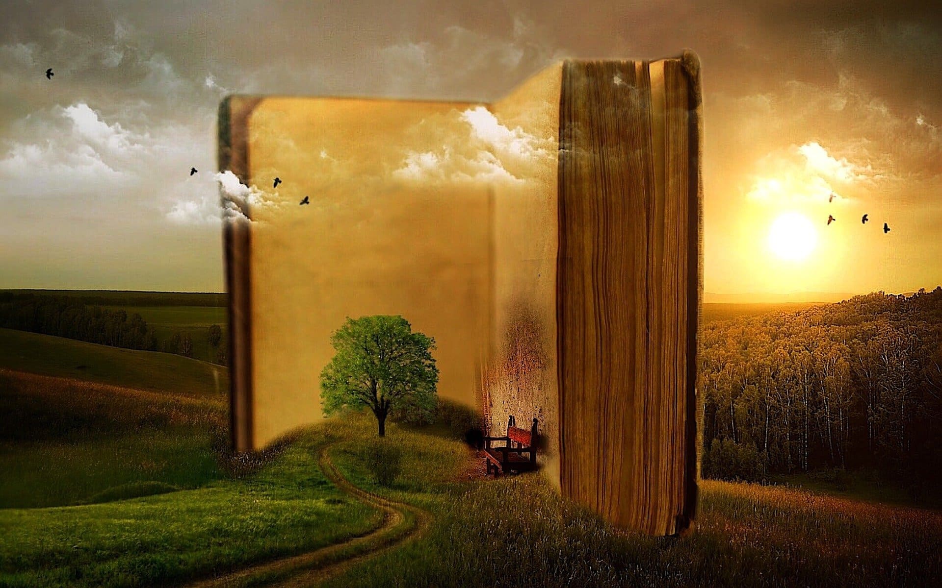 Histoire Imaginaire Experience