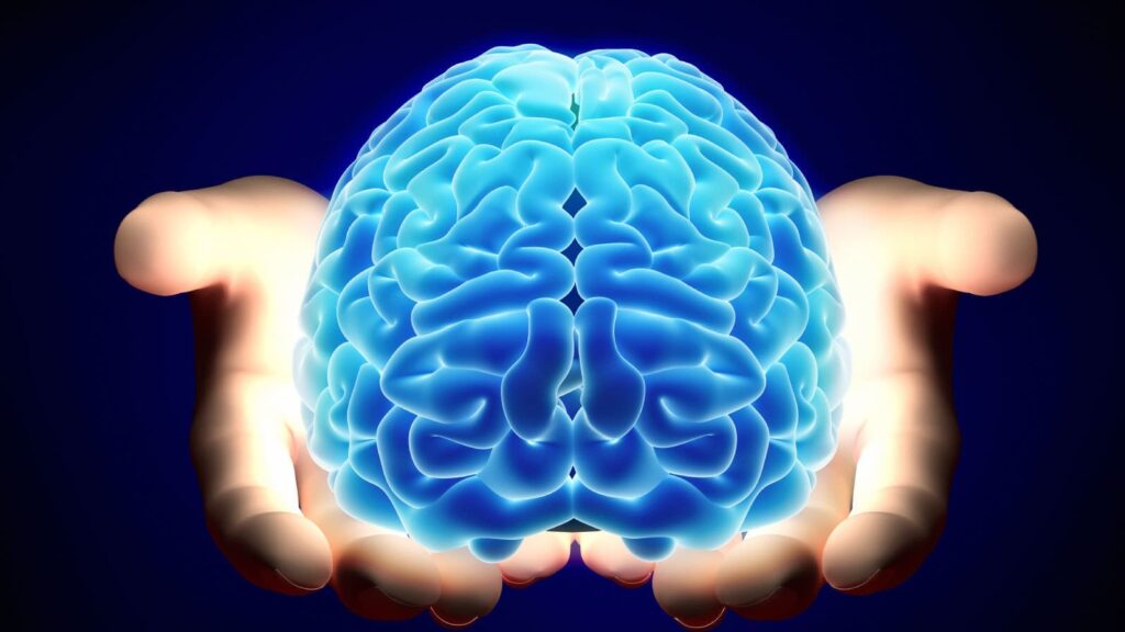 Nous pouvons aisément comprendre que le fonctionnement du cerveau est intrinsèquement lié avec le mental sans pour autant être la même chose.