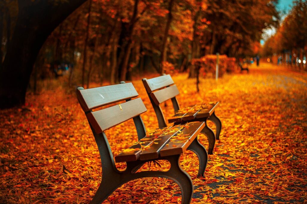 Trouver sa place sur un banc, c'est aussi permettre la rencontre avec des humains ayant les mêmes aspirations que nous pour le monde.